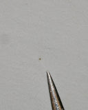 1990s Vintage Oakley Software Rubber ‘O’ T-Shirt (XXL)