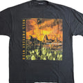 Vintage Eagles Hell Freezes Over World Tour 1995 Single Stitch T-Shirt (XL)