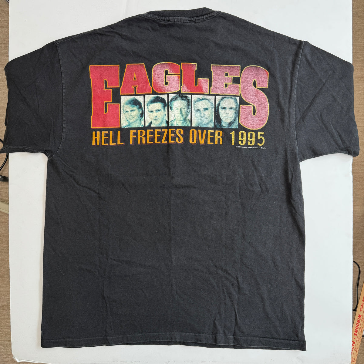Vintage Eagles Hell Freezes Over World Tour 1995 Single Stitch T-Shirt (XL)