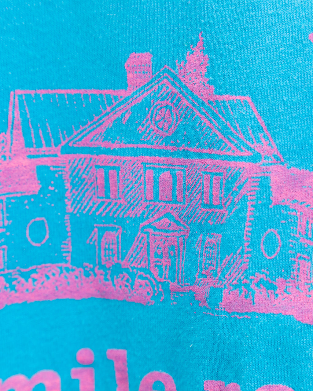 Vintage 1980s Screen Stars Hibernia Mansion 5 Mile Race Single Stitch Made in USA T-Shirt (Large)