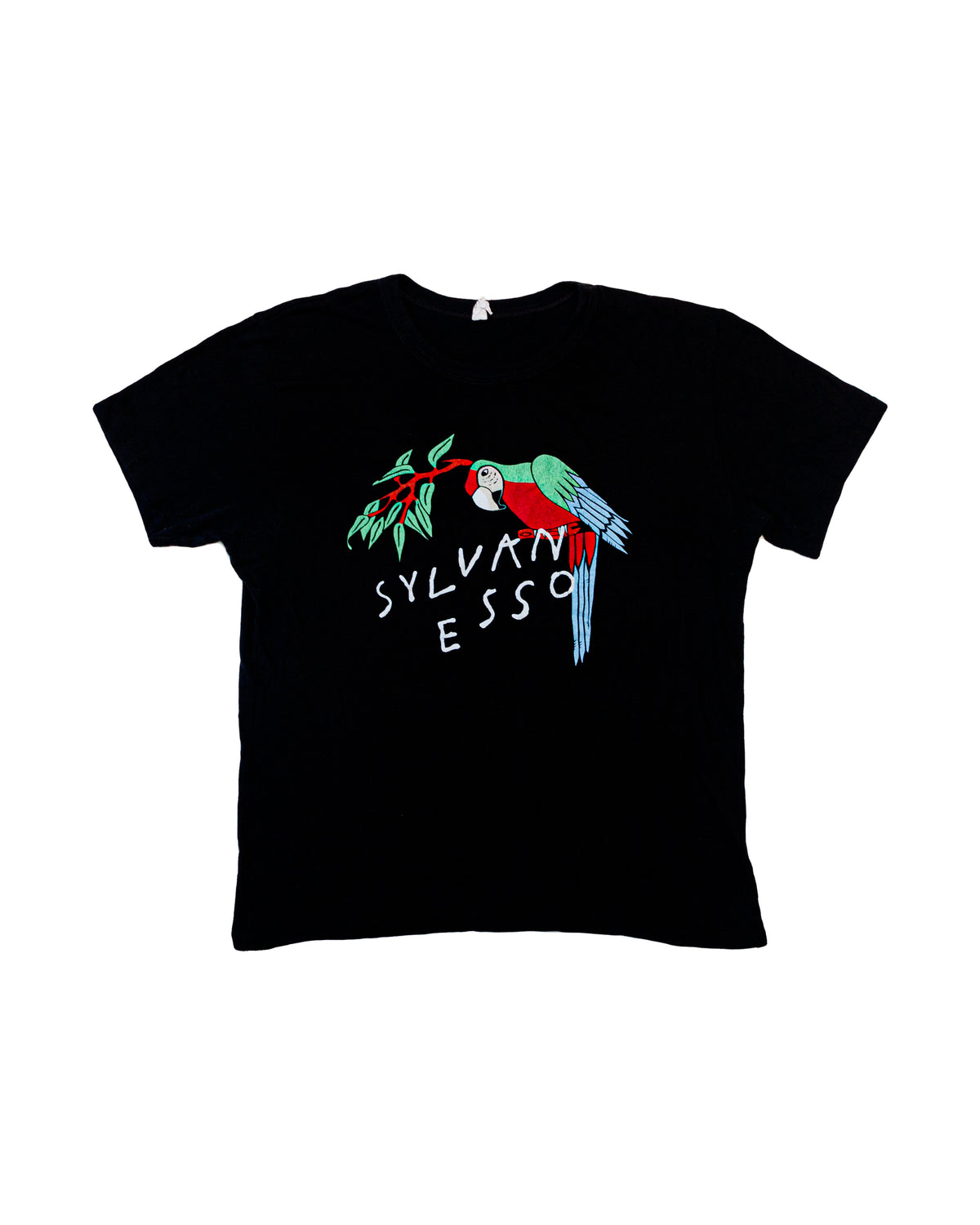 2017 Sylvan Esso What Now Parrot T-Shirt