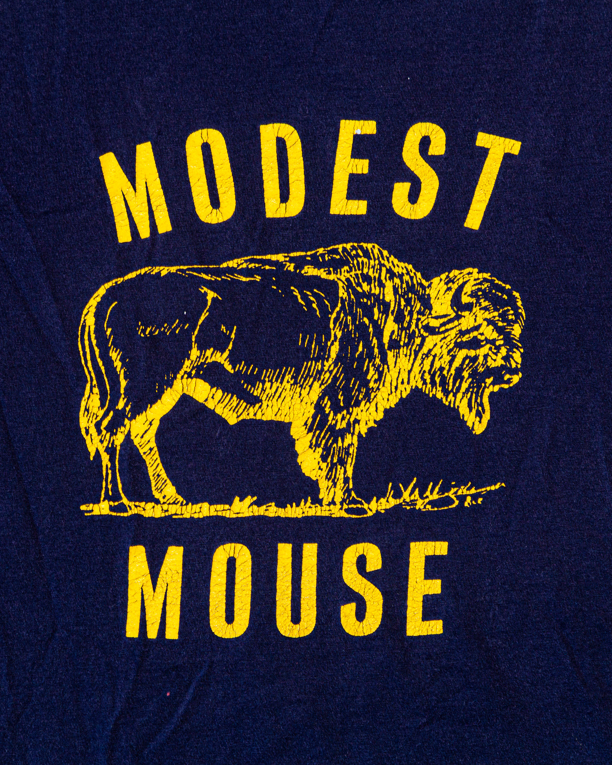 Modest Mouse Bitter Buffalo T-Shirt