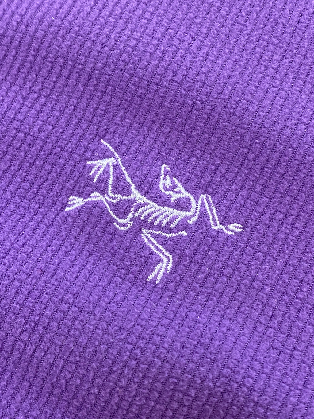 Arc'teryx 2012 Delta LT Purple Polartec 1/2 Zip Fleece (Medium)